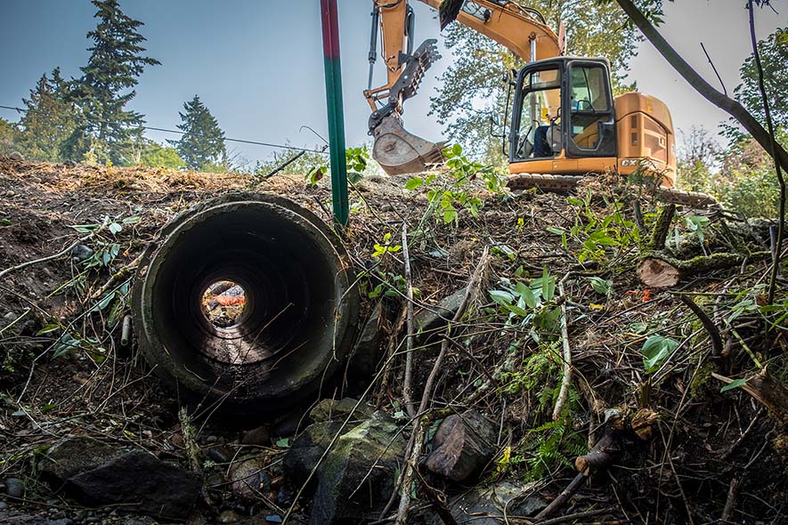 Work to remove barriers to fish passage