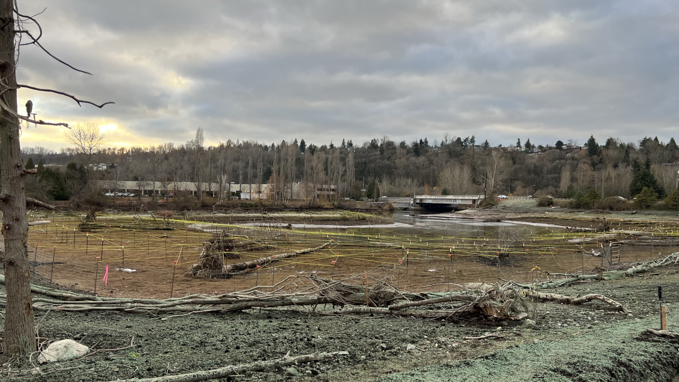 Chinook Wind project