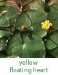 yellow floating heart