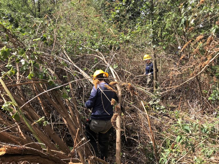 HeLP_crewwork_DSorensen-July2019-resize2