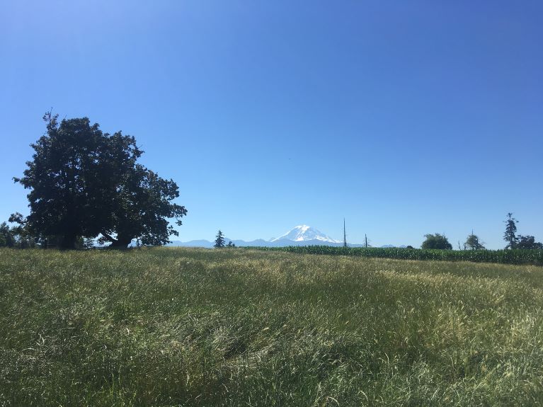 An example of a healthy landscape