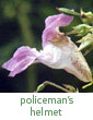 policemans helmet