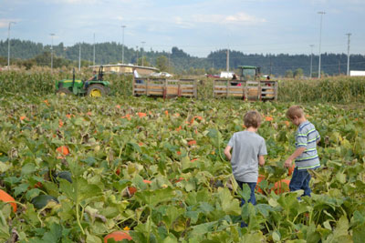 Farm