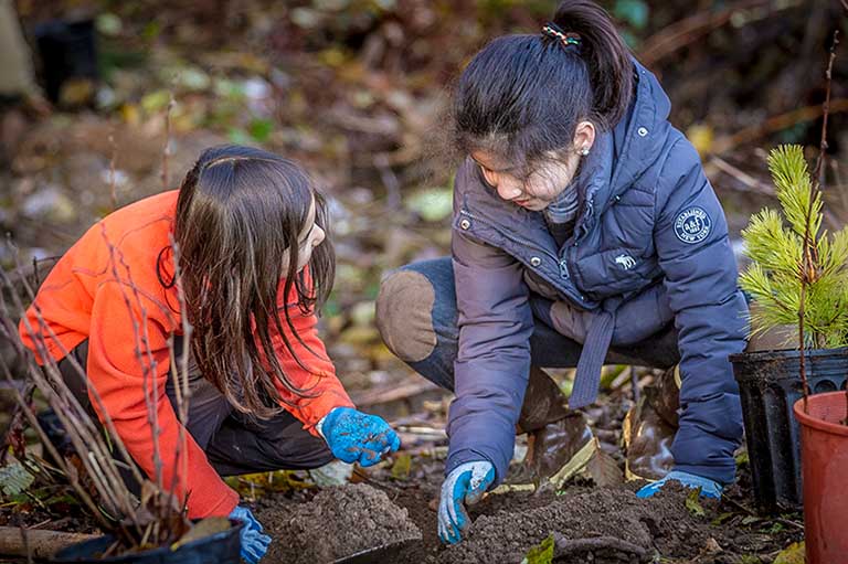 Tree planting at Finn Hill park