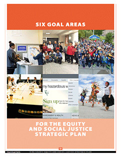 Pro-equity Governance through Six Goal Areas