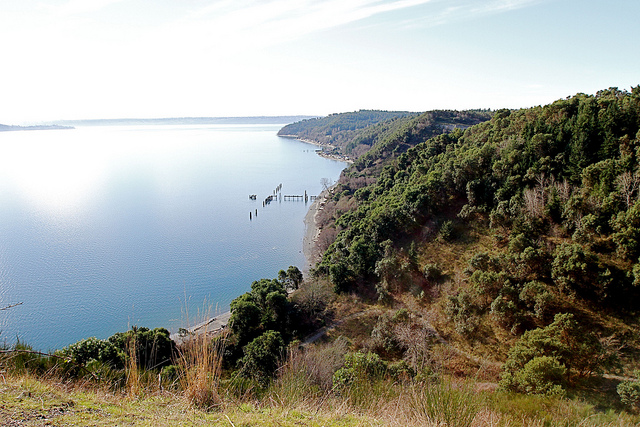 Maury Island shoreline
